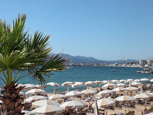 Une visite à Cannes pendant le festival : est-ce une bonne ou une mauvaise idée ?