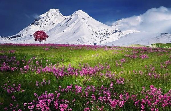 Les loisirs de montagne dans les Alpes-Maritimes: 5 activités à essayer